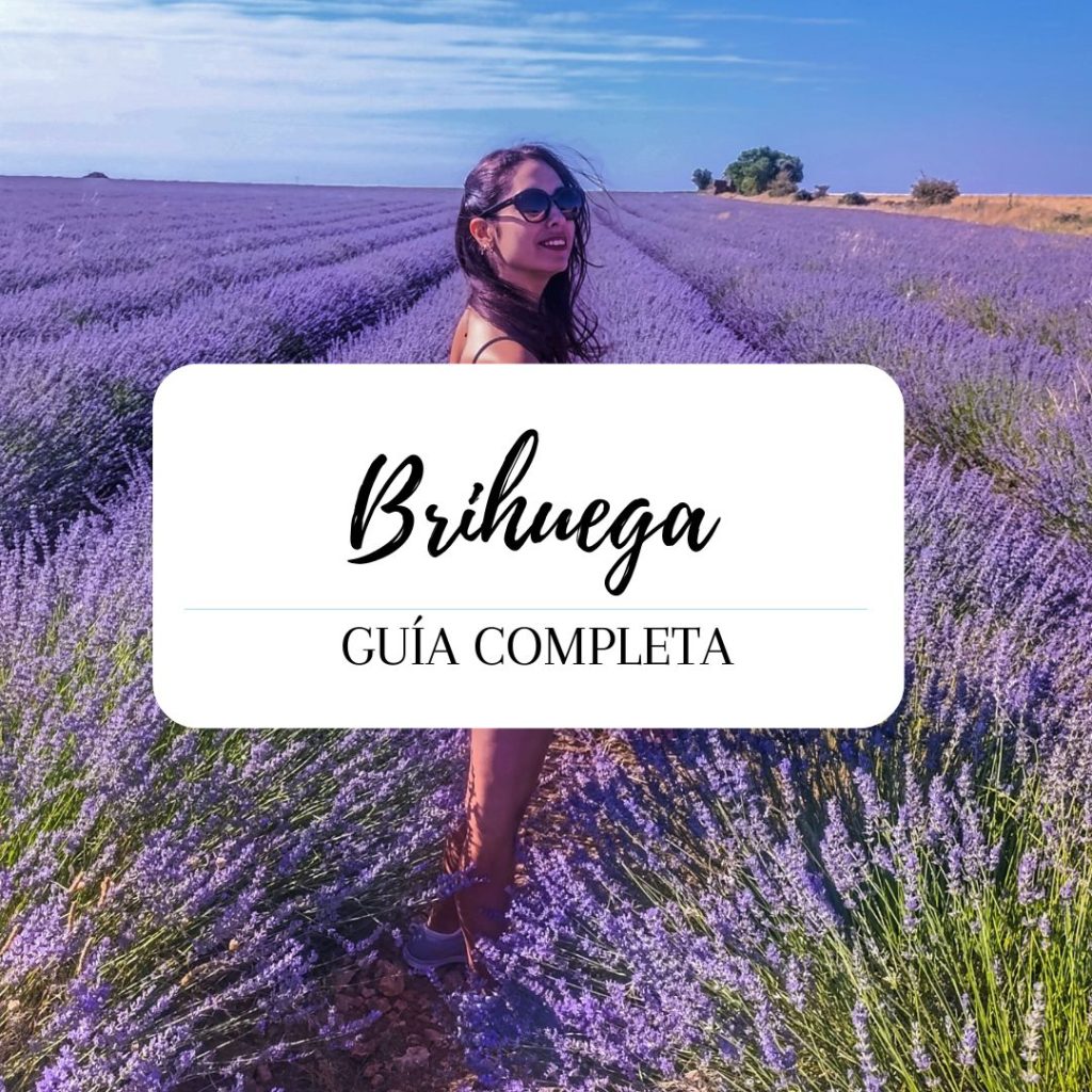 Guía de Brihuega y sus campos de lavanda